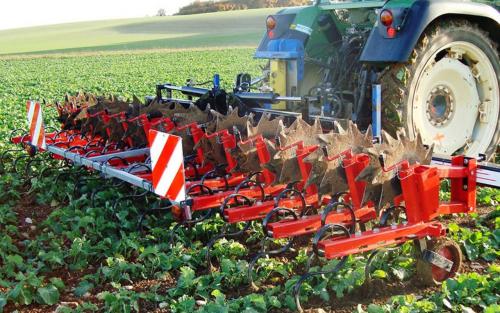 Az Olasz Agrár- és Élelmiszeripari Technológiák elnevezésű rendezvény az innovációt és az üzleti lehetőségeket népszerűsíti az agrár- és élelmiszeripari ágazatban Olaszország és Magyarország között